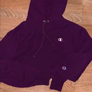Champion cropped hoodie